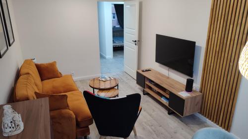 a living room with a couch and a flat screen tv at APARTAMENT "Opawska Przystań" in Głuchołazy