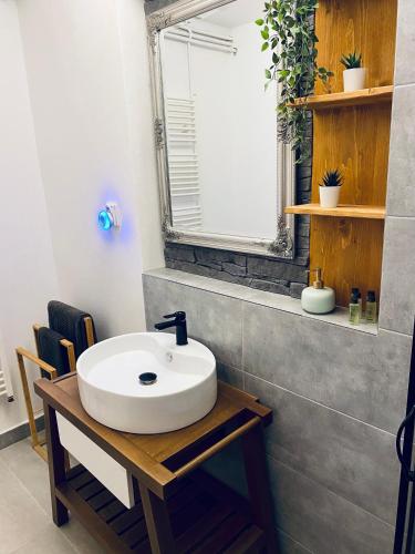 a bathroom with a sink and a mirror at Útulný apartmán pro odpočinek i základna turistiky in Jablonec nad Nisou