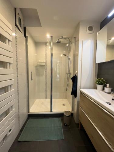 une salle de bain avec une douche avec une porte vitrée dans l'établissement Confort appartement proche Gare et Centre Strasbourg, à Strasbourg