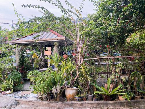 Dusun Indah Cottage 1 في بايان ليباس: حديقة بها منزل صغير به نباتات