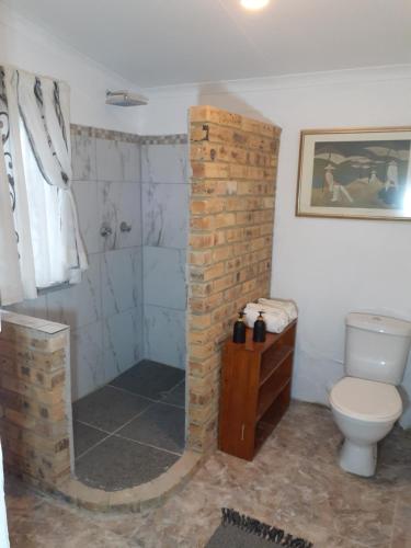 een badkamer met een stenen douche en een toilet bij 58 Boom Street Holiday Home. in Parys