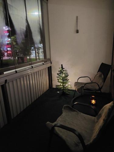 a living room with a christmas tree in the corner of a room at City Home Taimi in Rovaniemi