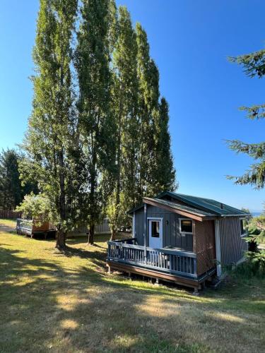 a small cabin in a field with trees at Deer Harbor Inn in Deer Harbor