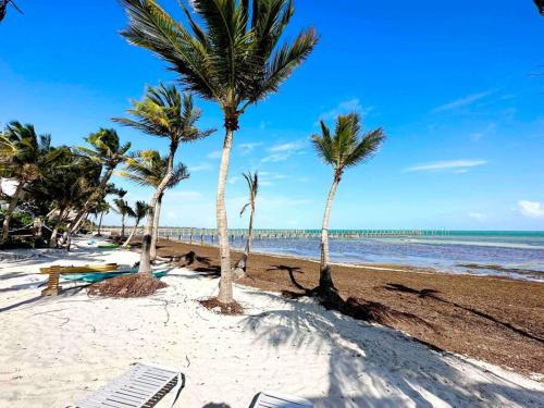 a group of palm trees on a sandy beach at Bungalows Sugarloaf Beach Key West - Hammock House in Sugarloaf Shores