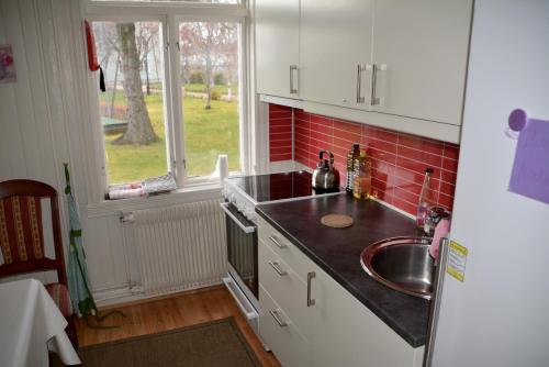 eine kleine Küche mit einem Waschbecken und einem Fenster in der Unterkunft Angelas White House in Stamsund