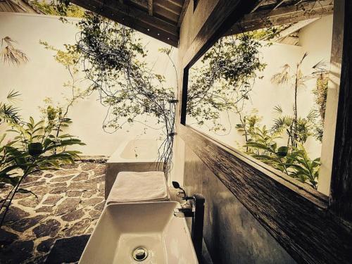 uma casa de banho com dois lavatórios e plantas na parede em Ceylon Olive Galle em Galle