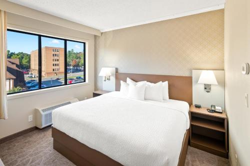 a hotel room with a bed and a large window at The English Inn of Charlottesville in Charlottesville