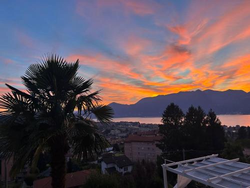 a sunset with a palm tree and a city at Vicolo dei Fiori in Luino