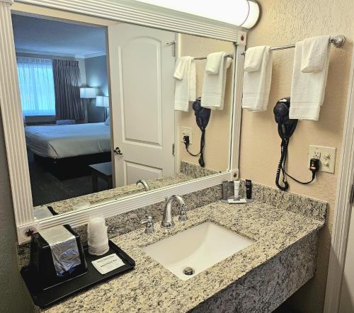 La salle de bains est pourvue d'un lavabo et d'un grand miroir. dans l'établissement Roadstar Hotel Zephyrhills, à Zephyrhills