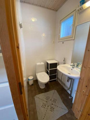 a small bathroom with a toilet and a sink at Himoshuvi 2 in Säyrylä