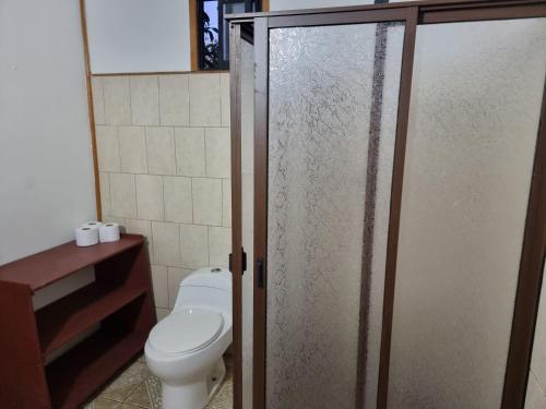 a bathroom with a toilet and a glass shower stall at Mika's House in Hanga Roa