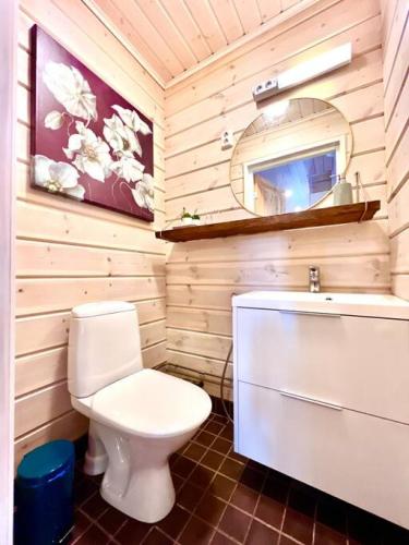 a bathroom with a white toilet and a mirror at Himoskuikka in Jämsä