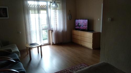 a living room with a couch and a tv on a dresser at FEIDUM quarters flat in Kraków