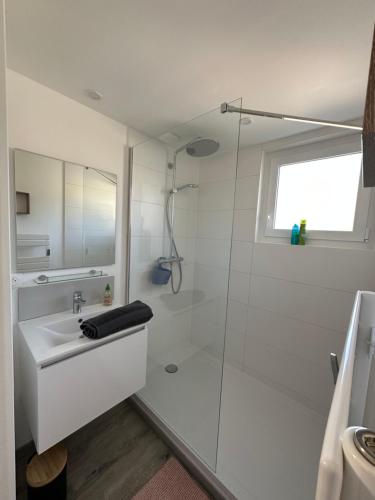 La salle de bains blanche est pourvue d'un lavabo et d'une douche. dans l'établissement Arlette, à Ouistreham