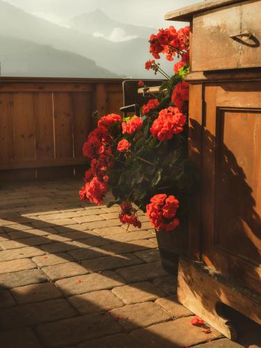Fotografie z fotogalerie ubytování Schulhaus Tirol v destinaci Zell am Ziller