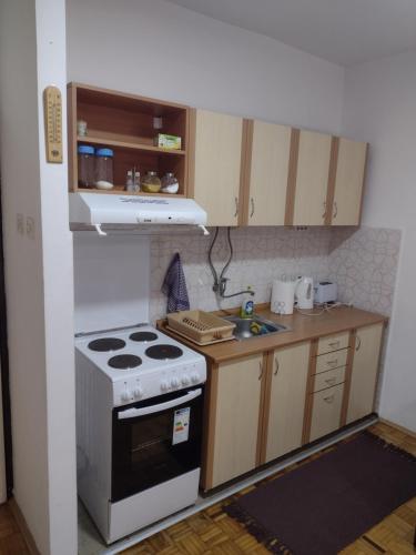 een kleine keuken met een fornuis en een wastafel bij Apartman Vesna in Banja Koviljača