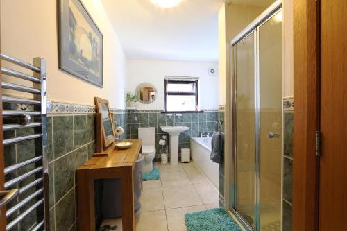 La salle de bains est pourvue d'une douche, d'un lavabo et de toilettes. dans l'établissement Cloyfin B and B, à Coleraine