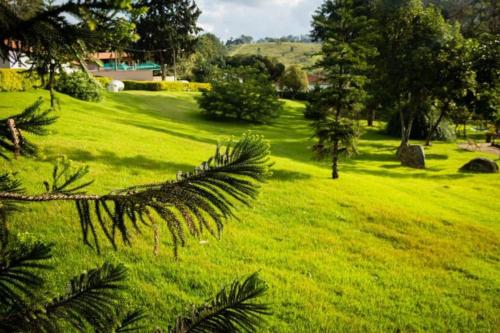 a field of green grass with trees and bushes at Recanto dos Beija Flores, Chalé lantana a in Monte Alegre do Sul