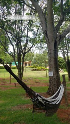 a hammock hanging from a tree in a park at Recanto dos Beija Flores, Chalé lantana a in Monte Alegre do Sul