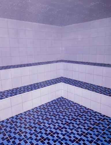 a bathroom with blue and white tiles on the floor at Apartamento en Condominio in San Jerónimo