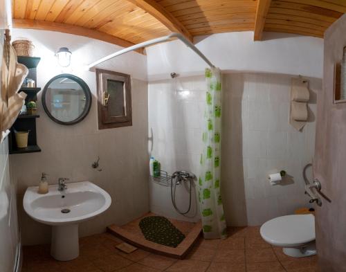 a bathroom with a sink and a toilet at Villa Achinos in Akhinós