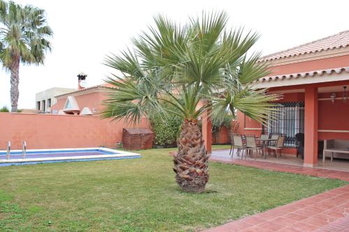 a palm tree in a yard next to a house at Chalet Carlos El Campito in Chiclana de la Frontera