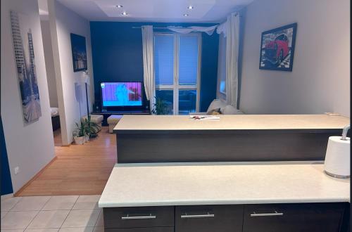Μια τηλεόραση ή/και κέντρο ψυχαγωγίας στο Apartament w Wesołej
