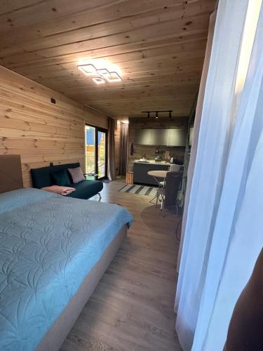 ein Schlafzimmer mit einem Bett und eine Küche in einem Zimmer in der Unterkunft REST 360 in Scheschory