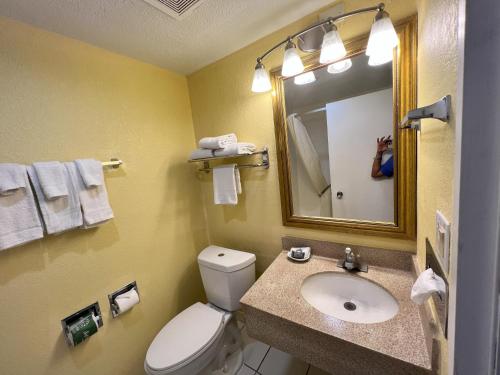 a bathroom with a toilet and a sink and a mirror at Countryside Suites Kansas City Independence I-70 East Sports Complex Hotel in Independence