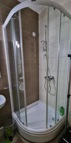 a shower with a glass enclosure in a bathroom at Planinska kuća II in Jahorina