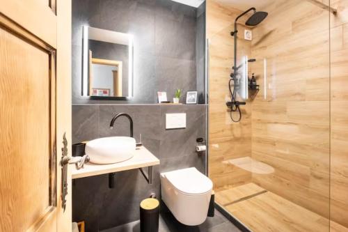 a bathroom with a sink and a toilet and a shower at Rare, quite & centered Apartment with Garden & Fireplace in Villars-sur-Ollon