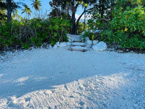 a path in the sand with rocks and trees at Bungalow TEIPO in Teavaro