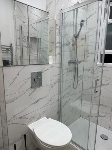 uma casa de banho com um WC e uma cabina de duche em vidro. em Excellent 1 bedroom flat in Highbury & Islington em Londres