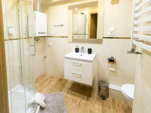 W łazience znajduje się prysznic, umywalka i toaleta. w obiekcie Apartament Sandomierski w mieście Sandomierz