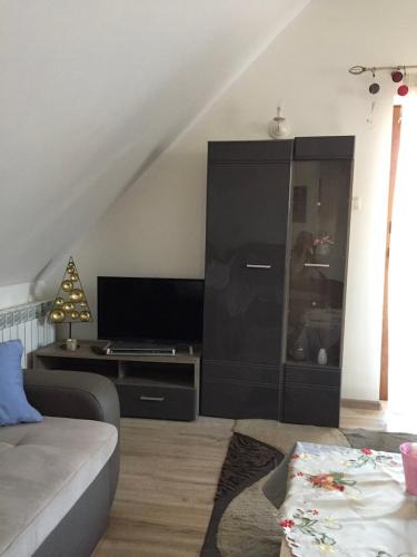 a living room with a black cabinet with a tv at Siedlisko Kępina Zdrój in Ostrów