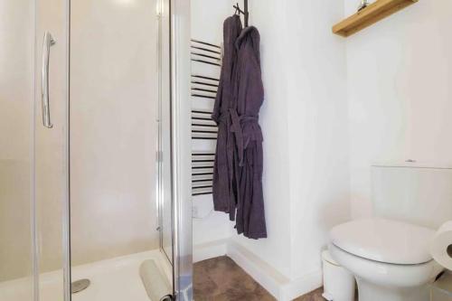 uma casa de banho com um WC e um chuveiro em Serendipity ~ Romantic Hideaway in Ambleside em Ambleside