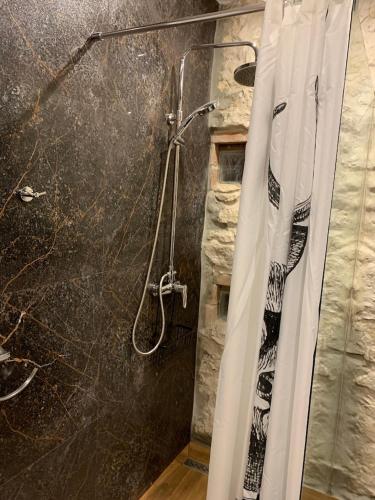a bathroom with a shower with a shower curtain at Siedlisko Kępina Zdrój in Ostrów