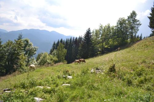 Paisaje cerca de este hotel
