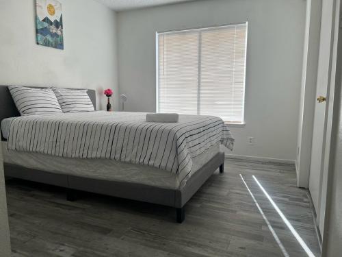 Super comfortable and beautiful 3 bedrooms, 2 baths House renting