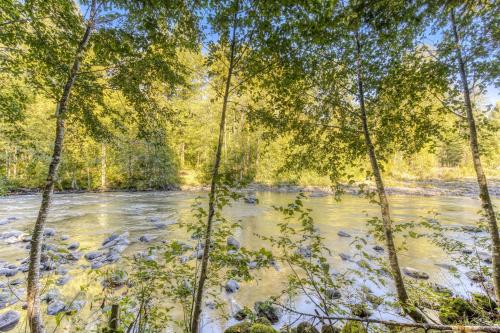 Pappy's Cabin – Photos 4