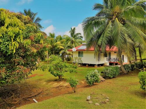 a house with a palm tree in front of a yard at HUAHINE - Hibiscus House in Haapu