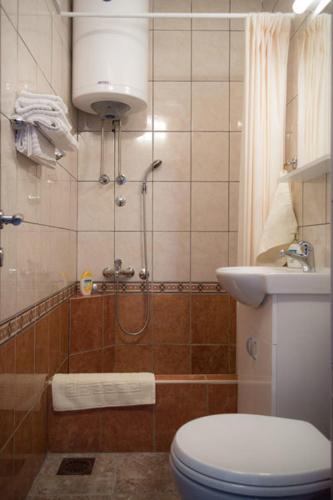 un bagno con doccia, WC e lavandino di Apartment Lilly a Belgrado