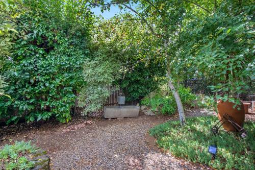 a garden with a bench and a tree and bushes at The Historic Old Pharmacy Hockeys - Millthorpe in Millthorpe