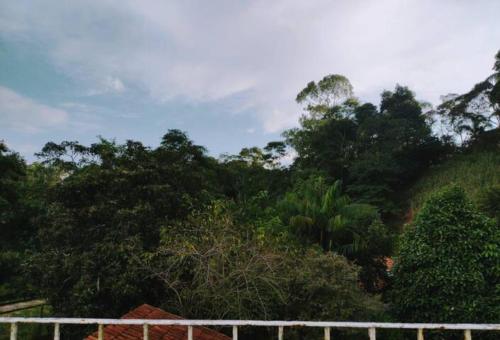a view of a forest with trees and a fence at Cantinho da Vovó Regina in Miguel Pereira