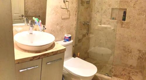 y baño con aseo, lavabo y ducha. en Paradis Mimies Apartment, en Boca Chica