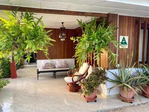 a lobby with a couch and potted plants at Red Ground Village in San Andrés