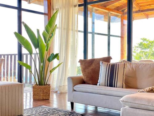 a living room with a couch and a plant at Astonishing view at Poás Volcano slopes: Casa Lili in Grecia