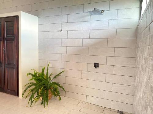 a bathroom with a white tiled wall and a plant at Astonishing view at Poás Volcano slopes: Casa Lili in Grecia