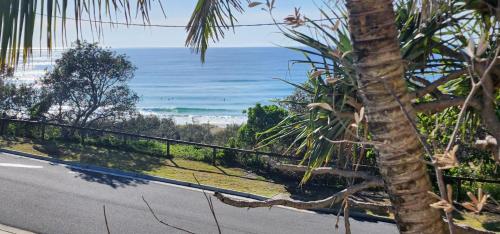 a view of the ocean from a palm tree at Sun, sand, and surf, Sunrise Beach in Sunrise Beach