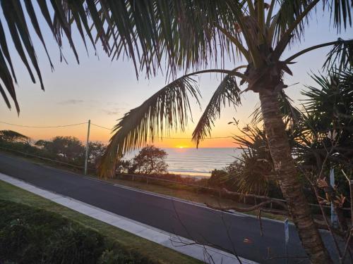 a palm tree on the side of a road with a sunset at Sun, sand, and surf, Sunrise Beach in Sunrise Beach